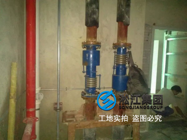 【橫琴總部大廈項目】采用淞江內(nèi)外壓平衡波紋補償器