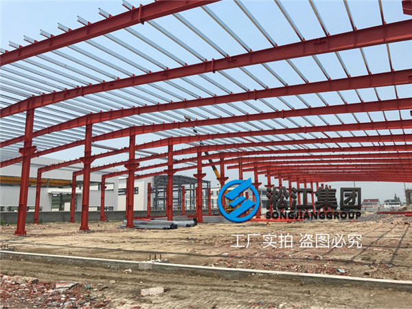 DN1200-L320帶法蘭的脫硫系統專用橡膠接頭